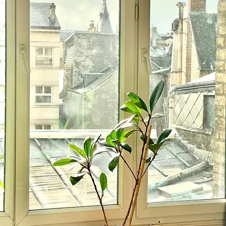 Hyper Centre Apartment